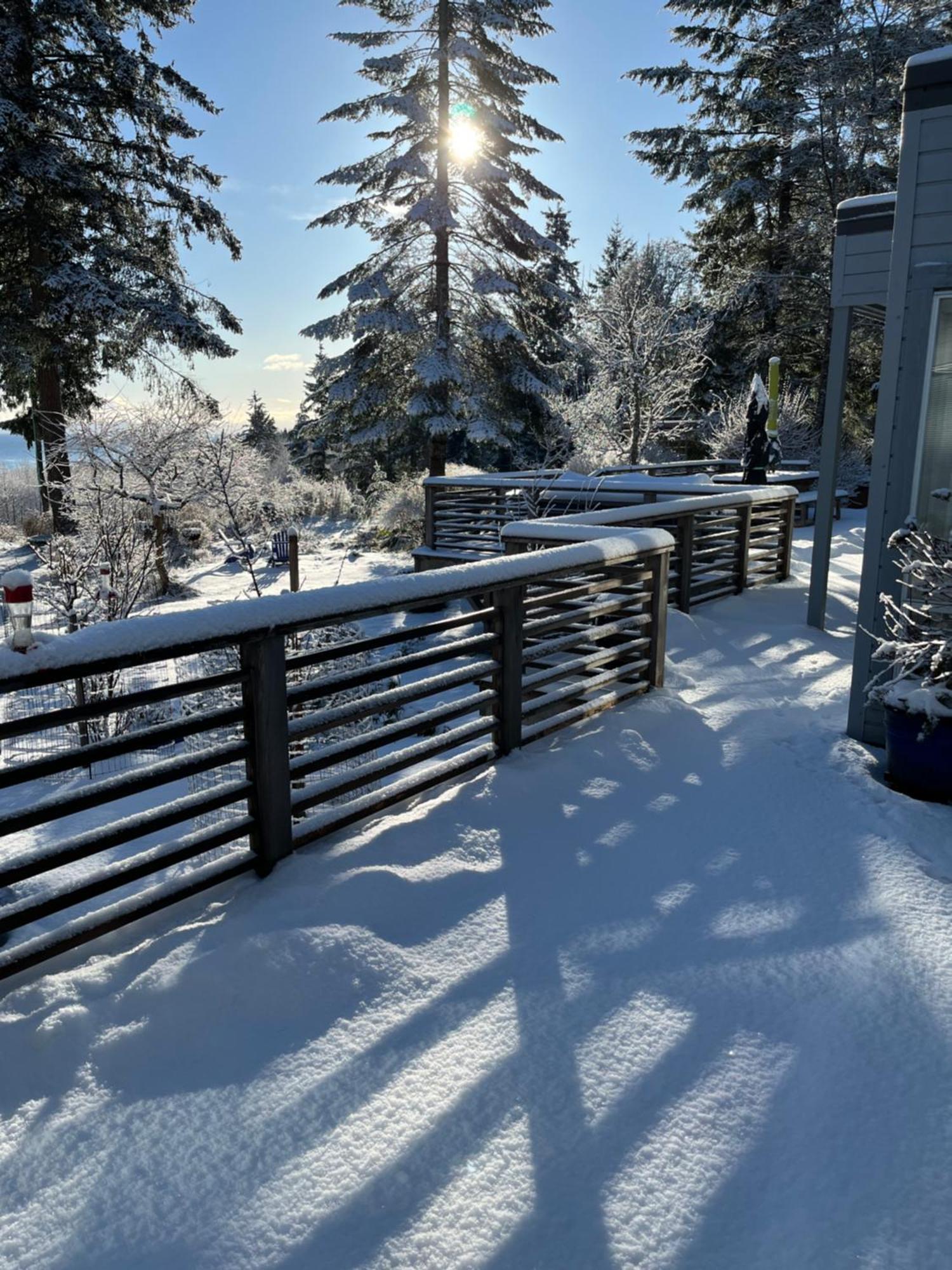 Forest By The Sea Rentals Merville Exterior foto